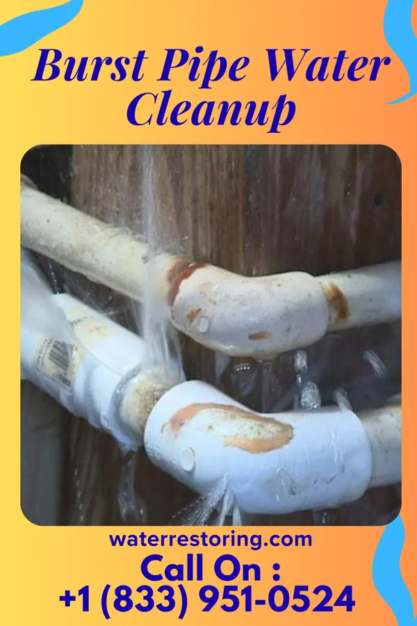 Burst Pipe Water Cleanup in North Liberty, IA