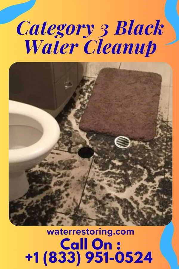 Category 3 Black Water Cleanup in North Liberty, IA