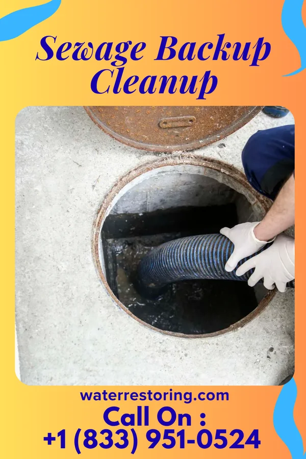 Sewage Backup Cleanup in North Liberty, IA